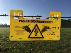 Eenzame vrouwen & mannen