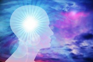 Intelligentie. Wat is dat eigenlijk?