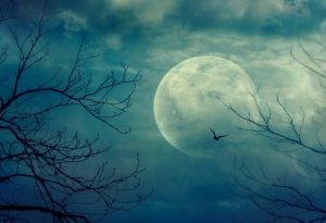 Volle Maan (Supermaan) 21 maart 2019.