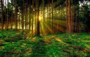 Contact en samenwerking met de natuur