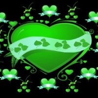 Zet het licht op groen