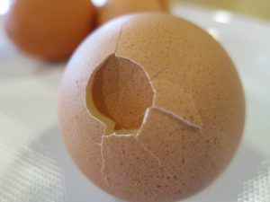 Klaar om uit te breken?
